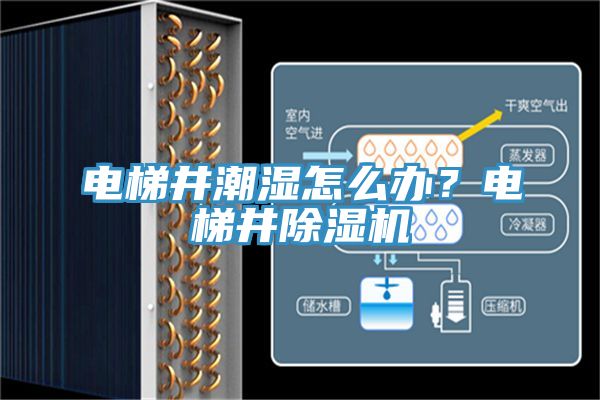 電梯井潮濕怎么辦？電梯井除濕機