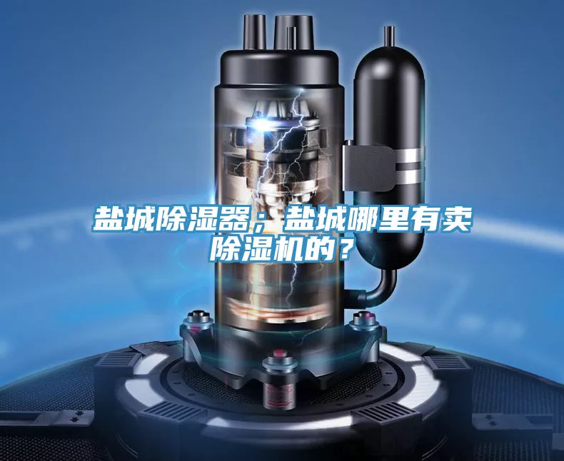 鹽城除濕器；鹽城哪里有賣除濕機(jī)的？