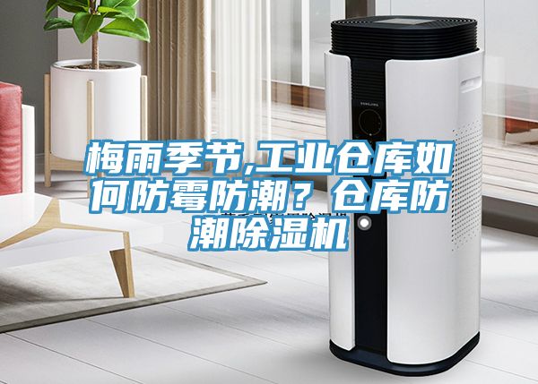 梅雨季節(jié),工業(yè)倉庫如何防霉防潮？倉庫防潮除濕機(jī)