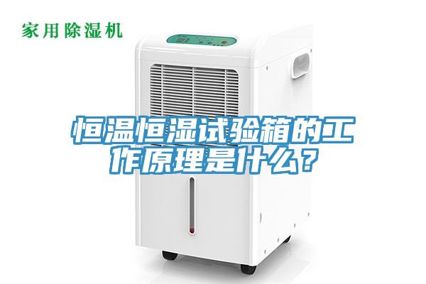 恒溫恒濕試驗(yàn)箱的工作原理是什么？