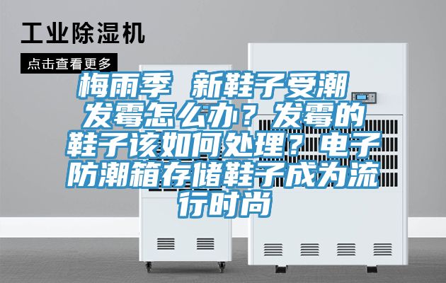 梅雨季 新鞋子受潮 發(fā)霉怎么辦？發(fā)霉的鞋子該如何處理？電子防潮箱存儲鞋子成為流行時尚