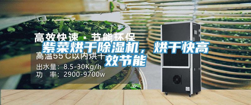 紫菜烘干除濕機，烘干快高效節(jié)能