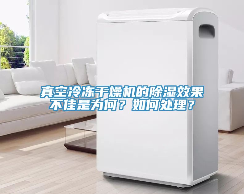 真空冷凍干燥機(jī)的除濕效果不佳是為何？如何處理？