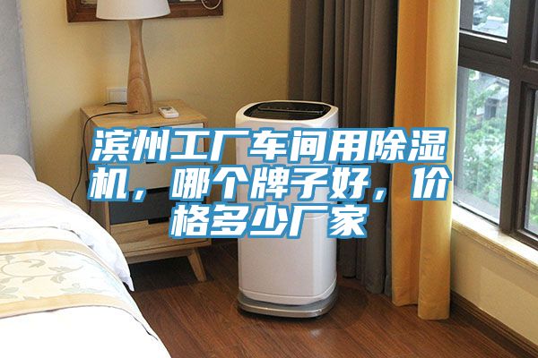 濱州工廠車間用除濕機(jī)，哪個(gè)牌子好，價(jià)格多少廠家