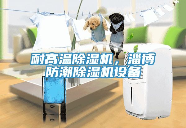 耐高溫除濕機(jī)，淄博防潮除濕機(jī)設(shè)備