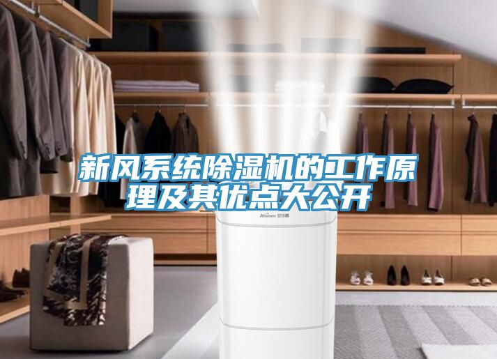 新風(fēng)系統(tǒng)除濕機(jī)的工作原理及其優(yōu)點大公開
