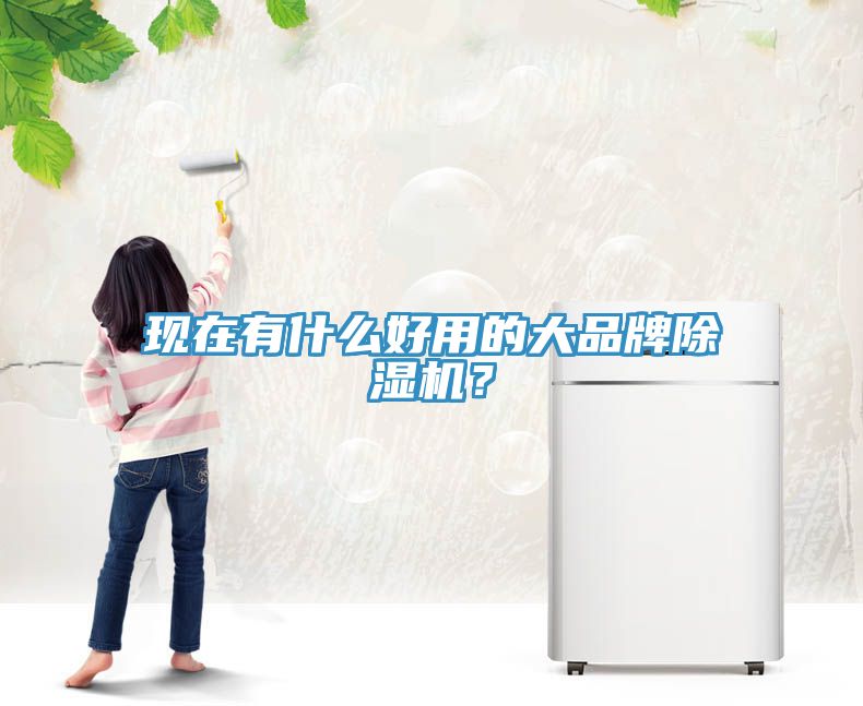 現(xiàn)在有什么好用的大品牌除濕機？