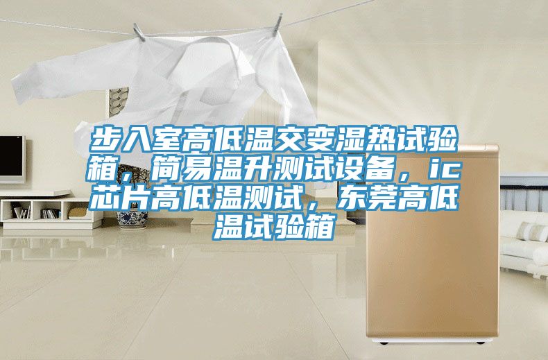 步入室高低溫交變濕熱試驗(yàn)箱，簡(jiǎn)易溫升測(cè)試設(shè)備，ic芯片高低溫測(cè)試，東莞高低溫試驗(yàn)箱