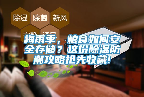 梅雨季，糧食如何安全存儲？這份除濕防潮攻略搶先收藏!