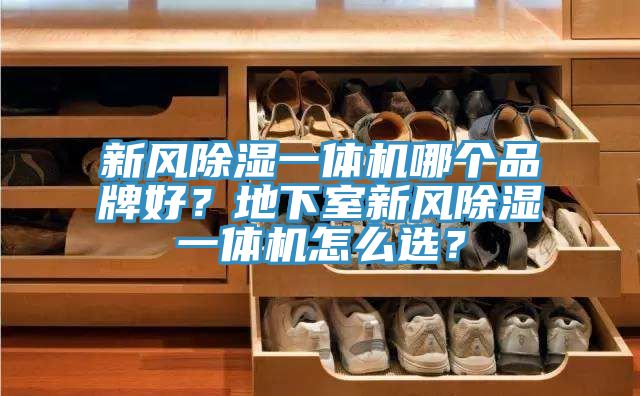 新風(fēng)除濕一體機(jī)哪個(gè)品牌好？地下室新風(fēng)除濕一體機(jī)怎么選？
