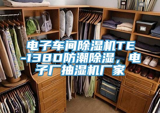 電子車間除濕機TE-138D防潮除濕，電子廠抽濕機廠家