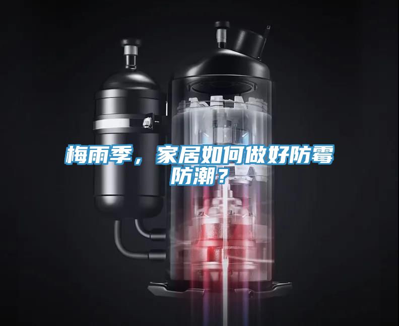 梅雨季，家居如何做好防霉防潮？