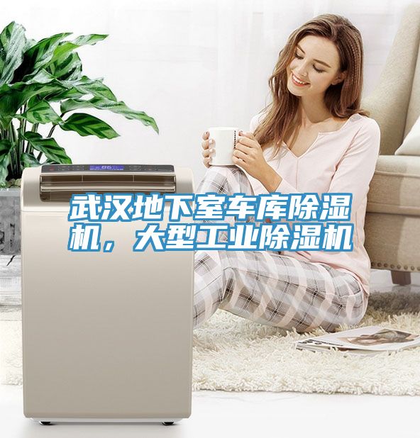 武漢地下室車(chē)庫(kù)除濕機(jī)，大型工業(yè)除濕機(jī)