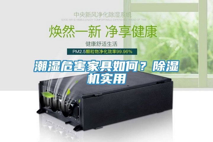 潮濕危害家具如何？除濕機實用