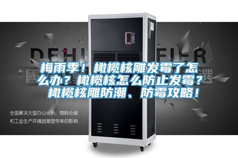 梅雨季！橄欖核雕發(fā)霉了怎么辦？橄欖核怎么防止發(fā)霉？ 橄欖核雕防潮、防霉攻略！
