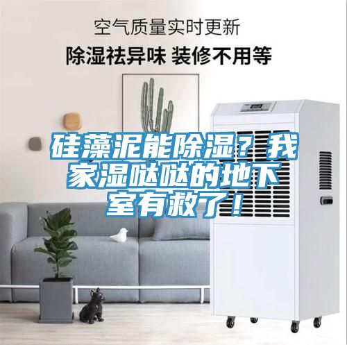 硅藻泥能除濕？我家濕噠噠的地下室有救了！