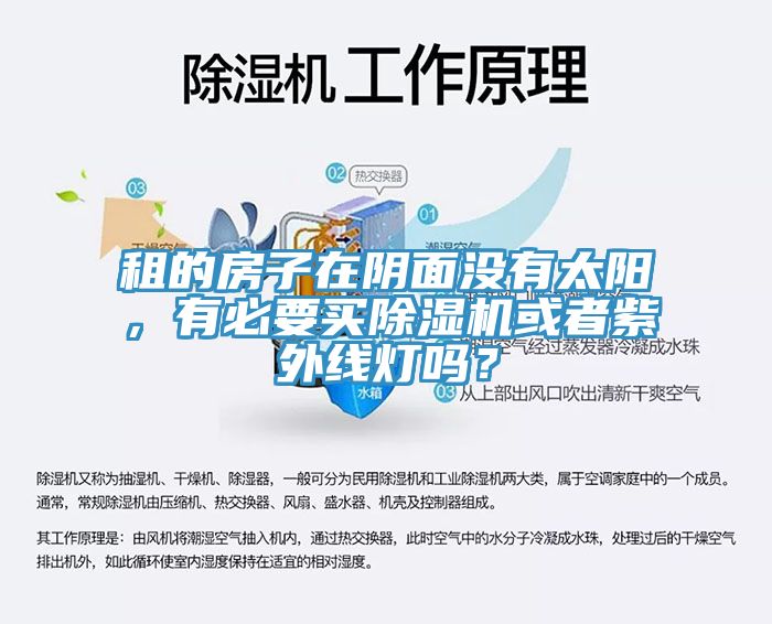 租的房子在陰面沒(méi)有太陽(yáng)，有必要買除濕機(jī)或者紫外線燈嗎？