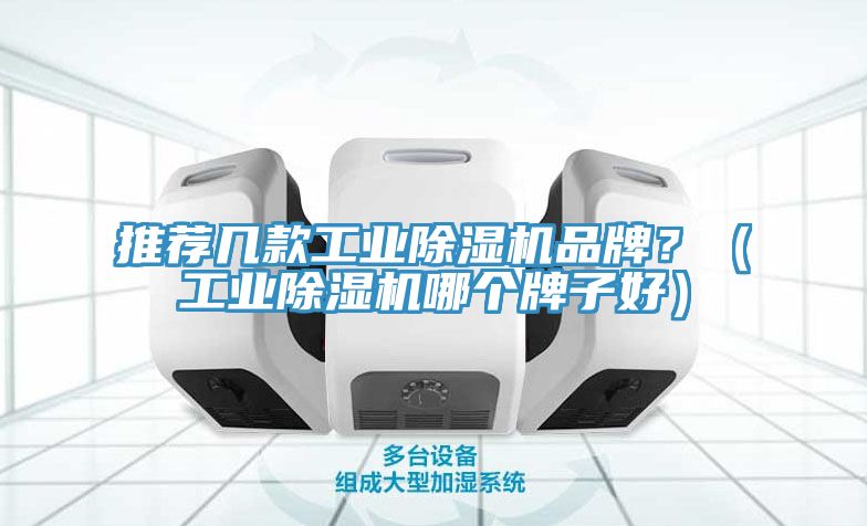 推薦幾款工業(yè)除濕機品牌？（工業(yè)除濕機哪個牌子好）