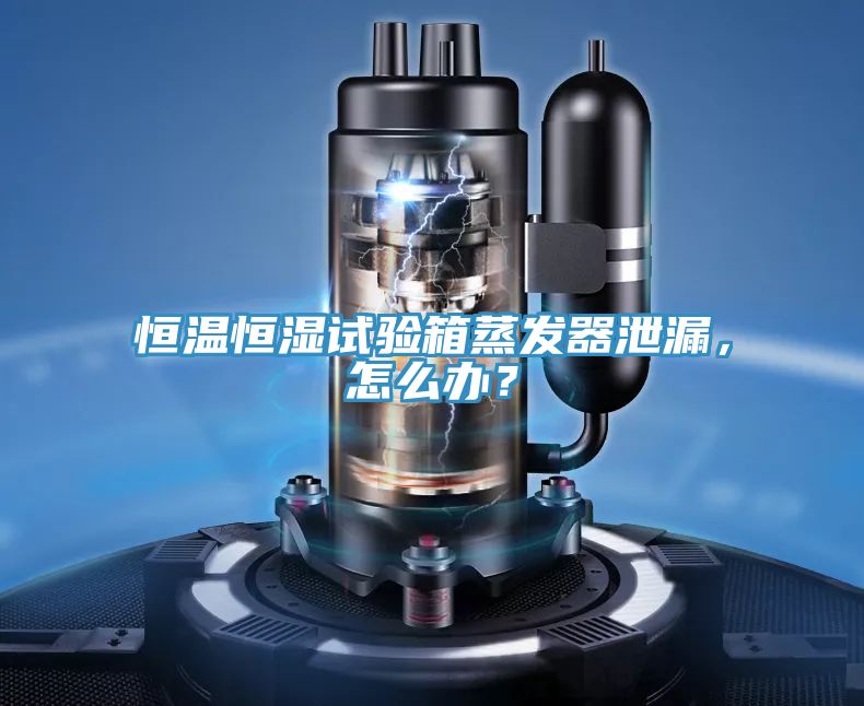 恒溫恒濕試驗箱蒸發(fā)器泄漏，怎么辦？