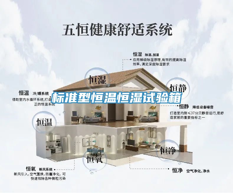 標(biāo)準型恒溫恒濕試驗箱