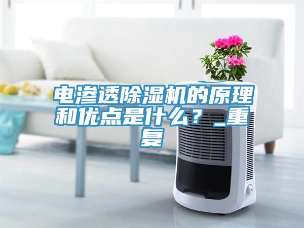 電滲透除濕機的原理和優(yōu)點是什么？_重復