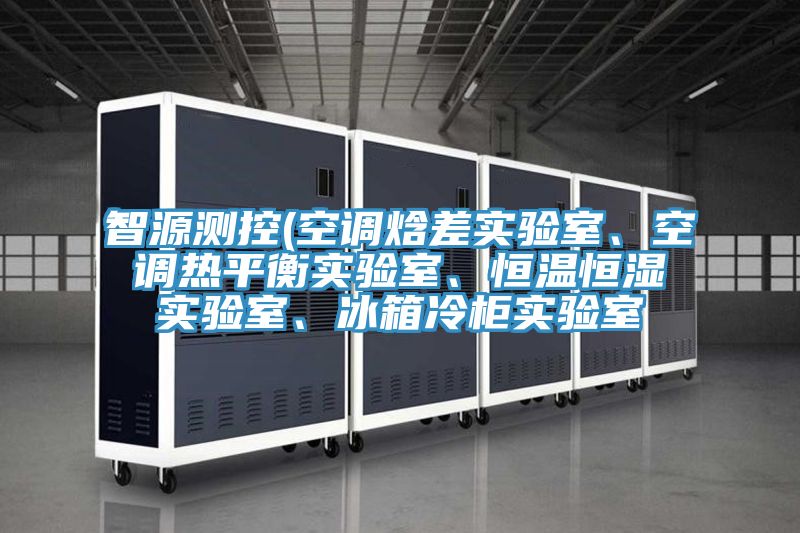 智源測控(空調(diào)焓差實(shí)驗(yàn)室、空調(diào)熱平衡實(shí)驗(yàn)室、恒溫恒濕實(shí)驗(yàn)室、冰箱冷柜實(shí)驗(yàn)室