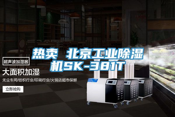 熱賣(mài) 北京工業(yè)除濕機(jī)SK-381T