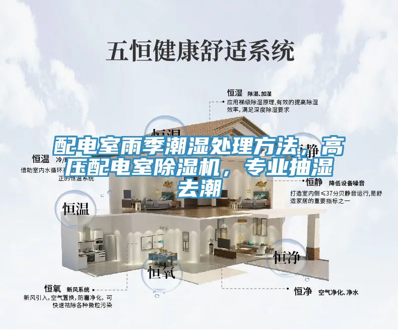 配電室雨季潮濕處理方法，高壓配電室除濕機，專業(yè)抽濕去潮