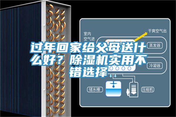 過年回家給父母送什么好？除濕機(jī)實(shí)用不錯(cuò)選擇