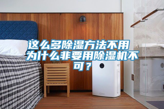 這么多除濕方法不用 為什么非要用除濕機(jī)不可？