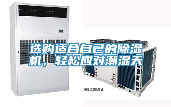 選購適合自己的除濕機，輕松應對潮濕天