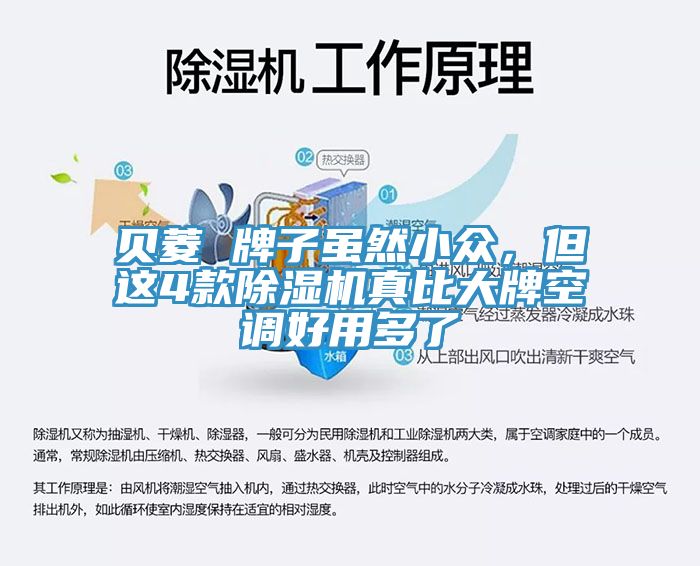 貝菱 牌子雖然小眾，但這4款除濕機(jī)真比大牌空調(diào)好用多了