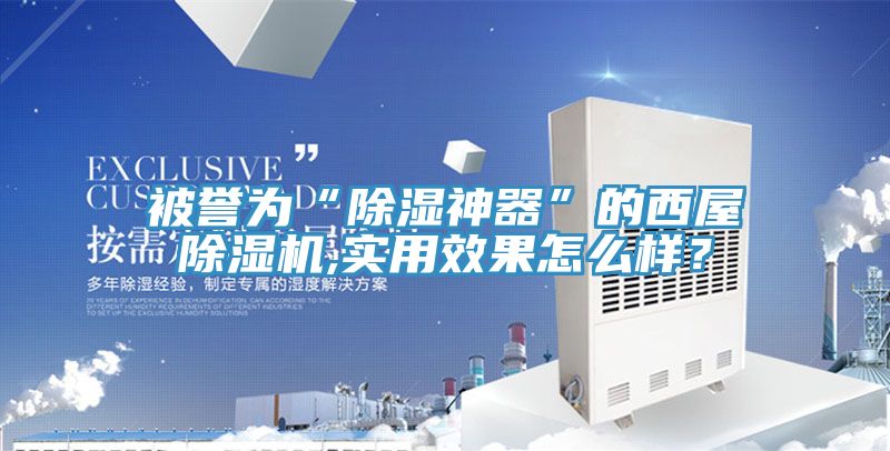 被譽(yù)為“除濕神器”的西屋除濕機(jī),實用效果怎么樣？