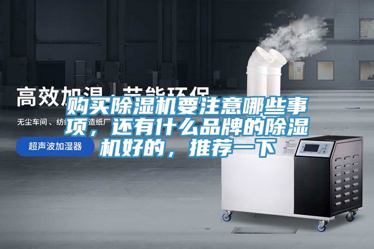 購(gòu)買除濕機(jī)要注意哪些事項(xiàng)，還有什么品牌的除濕機(jī)好的，推薦一下