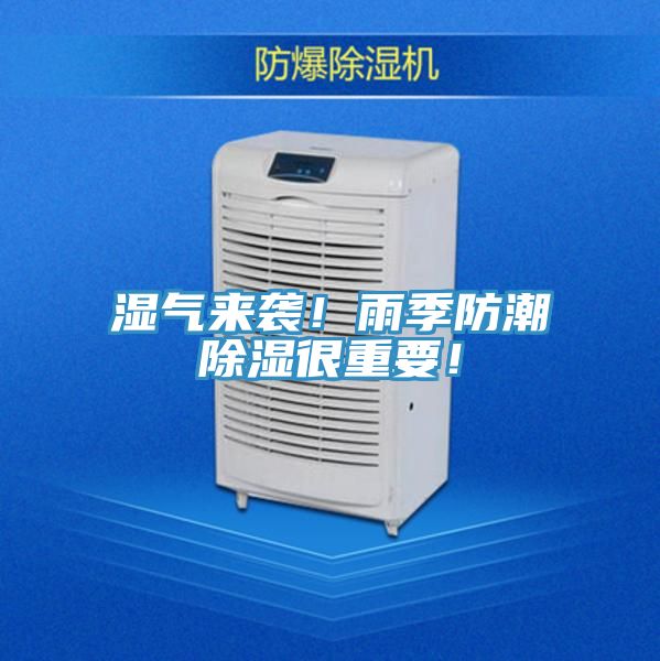 濕氣來襲！雨季防潮除濕很重要！