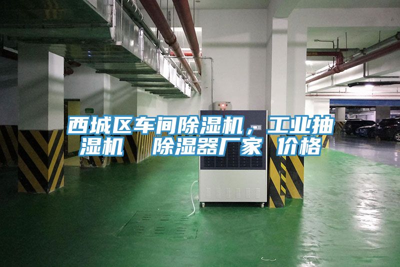 西城區(qū)車間除濕機，工業(yè)抽濕機  除濕器廠家 價格