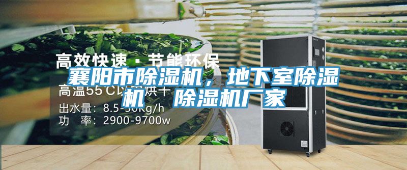 襄陽市除濕機(jī)，地下室除濕機(jī)  除濕機(jī)廠家