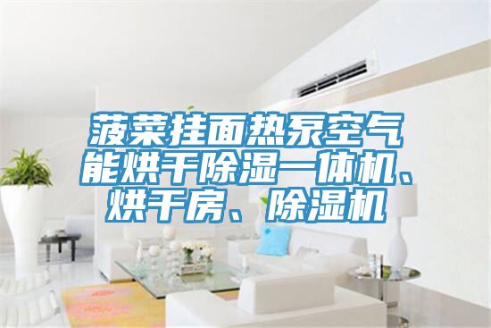 菠菜掛面熱泵空氣能烘干除濕一體機(jī)、烘干房、除濕機(jī)