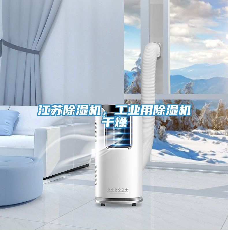 江蘇除濕機，工業(yè)用除濕機干燥