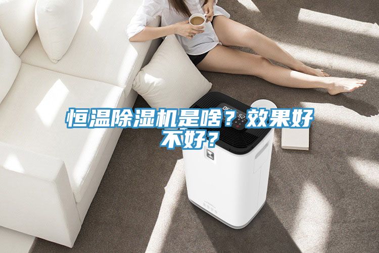 恒溫除濕機(jī)是啥？效果好不好？