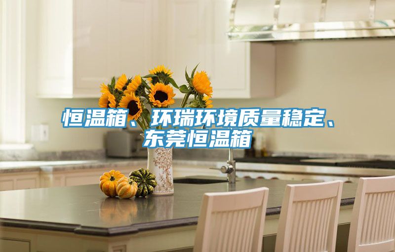 恒溫箱、環(huán)瑞環(huán)境質(zhì)量穩(wěn)定、東莞恒溫箱