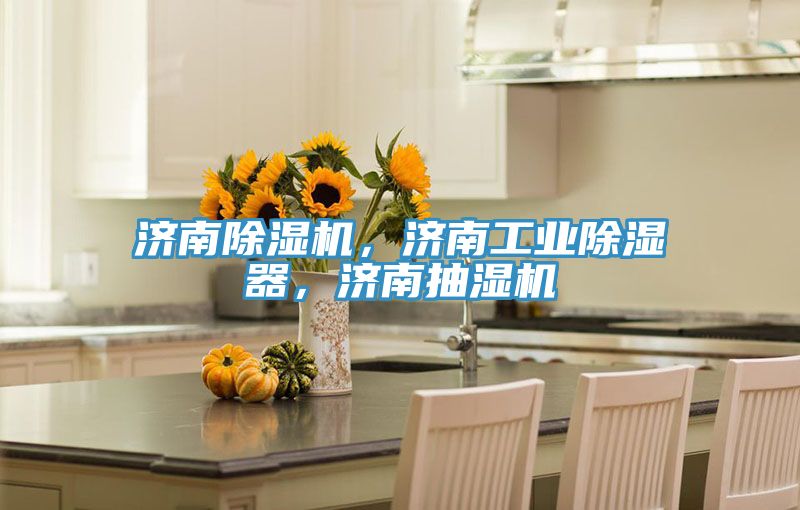 濟(jì)南除濕機(jī)，濟(jì)南工業(yè)除濕器，濟(jì)南抽濕機(jī)