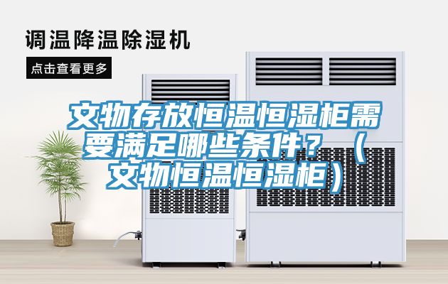 文物存放恒溫恒濕柜需要滿足哪些條件？（文物恒溫恒濕柜）