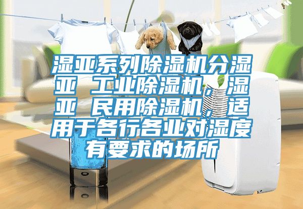 濕亞系列除濕機(jī)分濕亞 工業(yè)除濕機(jī)，濕亞 民用除濕機(jī)，適用于各行各業(yè)對(duì)濕度有要求的場(chǎng)所