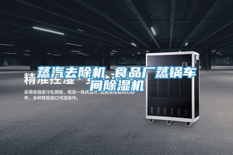 蒸汽去除機(jī) 食品廠蒸鍋車(chē)間除濕機(jī)