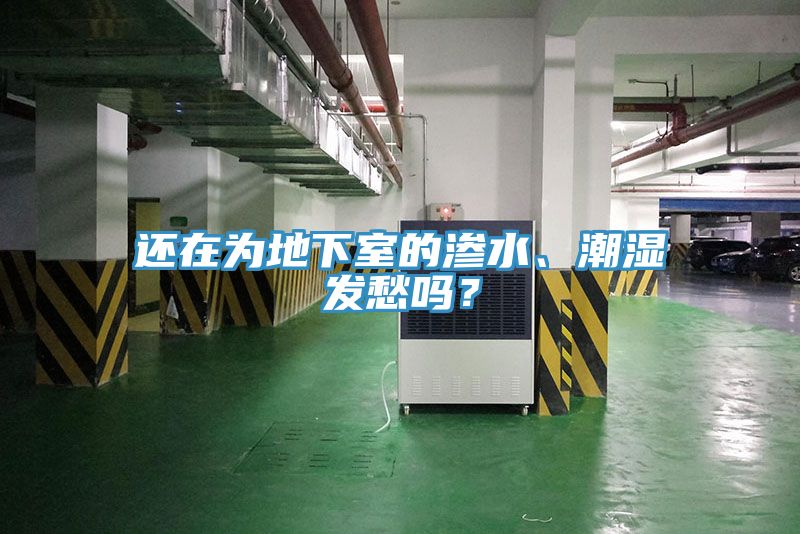 還在為地下室的滲水、潮濕發(fā)愁嗎？