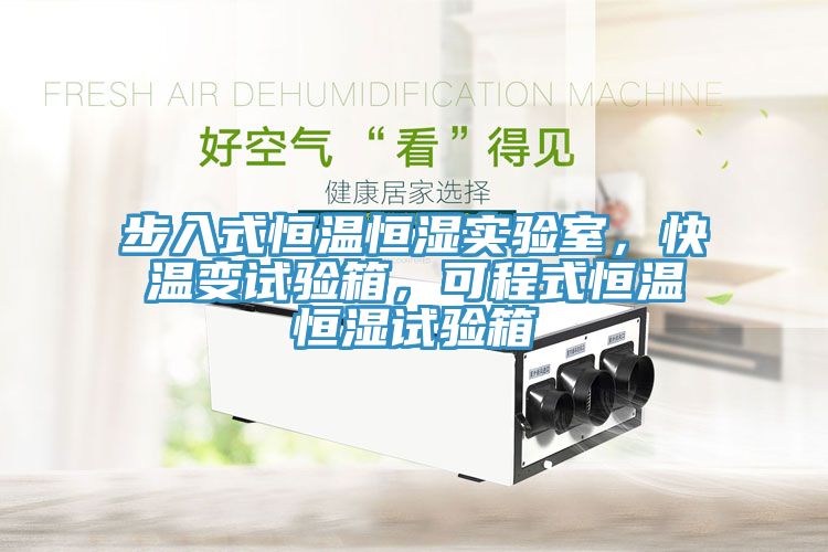 步入式恒溫恒濕實(shí)驗(yàn)室，快溫變試驗(yàn)箱，可程式恒溫恒濕試驗(yàn)箱