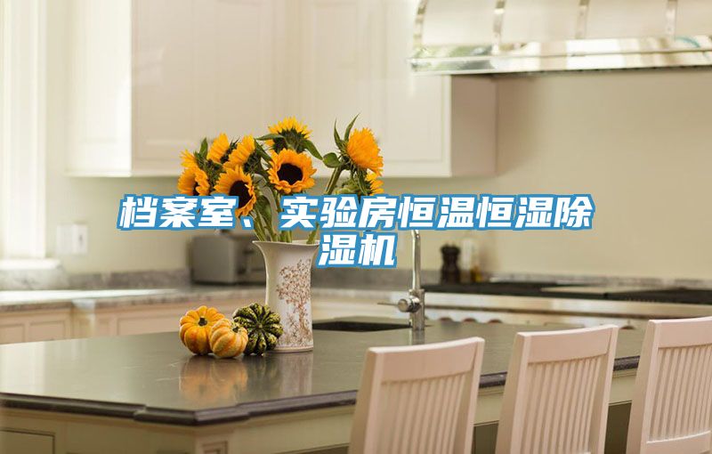 檔案室、實驗房恒溫恒濕除濕機