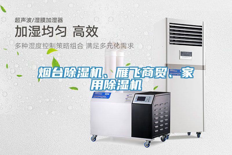 煙臺(tái)除濕機(jī)、雁飛商貿(mào)、家用除濕機(jī)