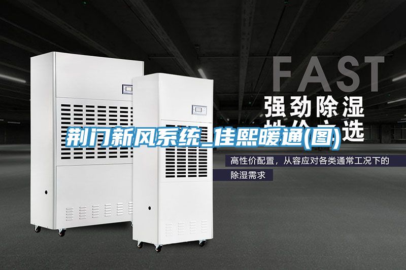 荊門(mén)新風(fēng)系統(tǒng)_佳熙暖通(圖)